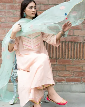 Gulnaaz Back Pleat Kurta